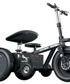 Panther Easy Rider