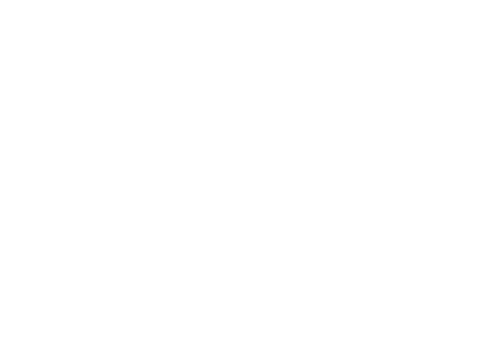 Cinegear Việt Nam